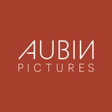Aubin Pictures Inc logo