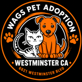 Westminster Adoption Group And Services Inc logo