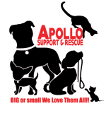 Apollo Support & Rescue Inc logo