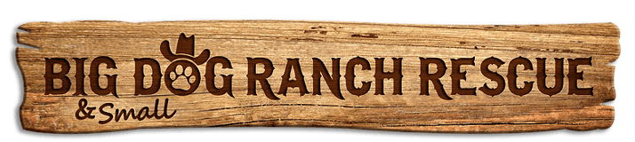 Big Dog Ranch Rescue Inc logo