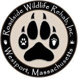 Roadside Wildlife Rehab Inc logo