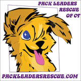 Pack Leaders Rescue of CT Inc logo