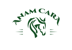 Anam Cara Counseling logo