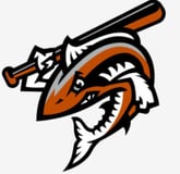 Wahoos Baseball logo