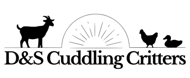 D&S Cuddling Critters Foundation logo