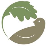 Oak & Sparrow Ministry logo
