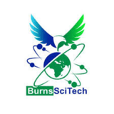 Burns Science and Technology Charter School Inc logo