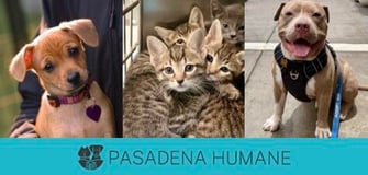 PASADENA HUMANE SOCIETY AND S.P.C.A. logo
