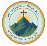 Little Mountain Foundation logo