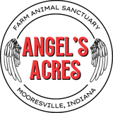 Angels Acres Farm Animal Sanctuary logo