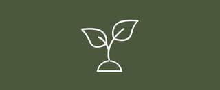 Tarhonda Jones S.E.E.D. Foundation logo