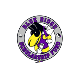 Blue Ridge Scholarship Fund Inc logo