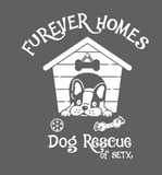 Pawsitive Paws Of Texas Inc logo