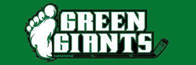 District 10 Hockey logo