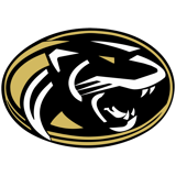 Raymore-Peculiar High School - Baseball Team logo