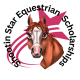 ShootinstarES@gmail.com logo