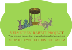 Velveteen Rabbit Project logo