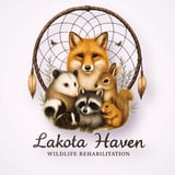 Lakota Haven Wildlife Rehabilitatio N logo