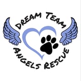 Dream Team Angels Rescue logo