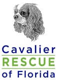 CAVALIER RESCUE OF FLORIDA INC logo