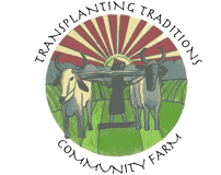 Transplanting Traditions Community Farm logo