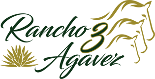 Rancho 3 Agavez de Cielo Azul logo