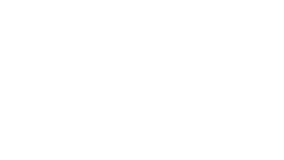 BLIND INSTITUTE OF TECHNOLOGY logo