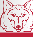 Waxhaw Elementary PTO logo