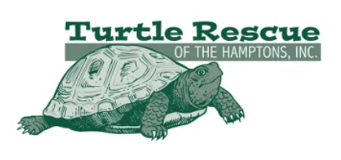 Turtle Rescue of the Hamptons Inc logo
