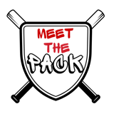 OSL Falcons | NYLightning logo