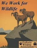 Gallatin Wildlife Association logo