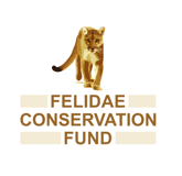 Felidae Conservation Fund logo