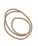 CareWell Spa logo