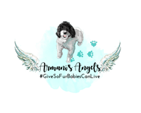 Armanis Angels Inc logo