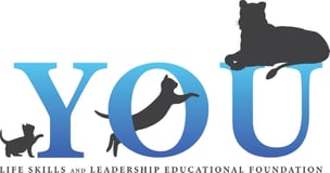 You Life Skills and Leadership Educational Foundation logo