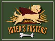 JOXER'S FOSTERS logo