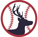 Buckhead Baseball Inc logo