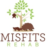 Misfits Rehab logo