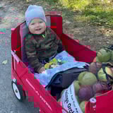 Dominik Kapusnik's Fundraiser logo