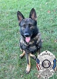 Linn Creek Police K-9 logo