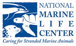 National Marine Life Center, Inc. logo