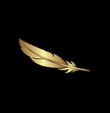 Dreams Come True Charitable Foundation, Inc. logo