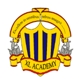 XL Academy logo