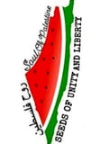 Soul of Palestine logo