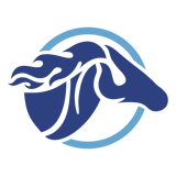 Stoneleigh Elementary School PTA logo