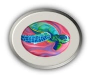 Delaney Marchant Memorial Foundation Inc logo