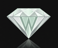 Whitestone Foundation logo