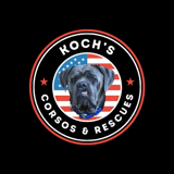 Koch’s Corsos & Rescues logo