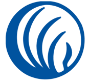 NAMI Hillsborough logo