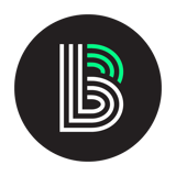 BIG BROTHERS SISTERS NW MONTANA logo